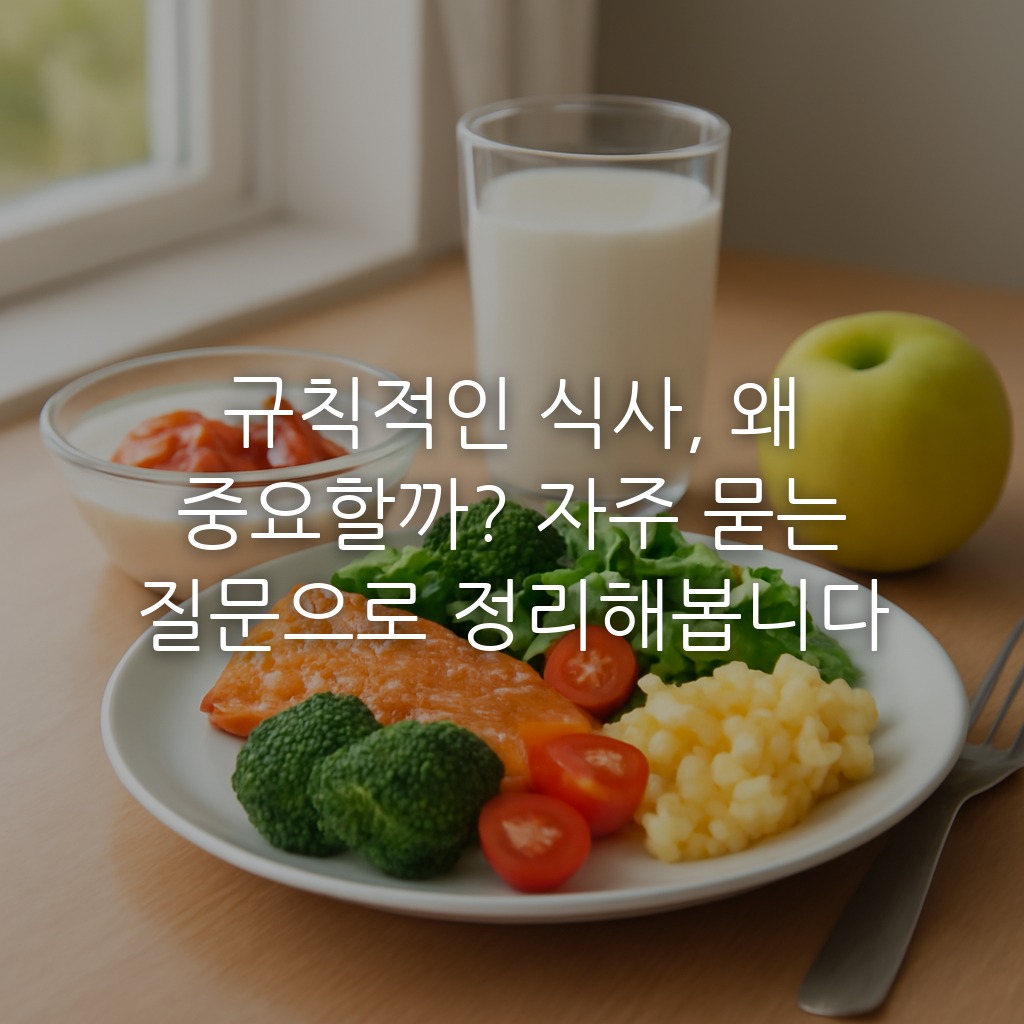 규칙적인 식사, 왜 중요할까? 자주 묻는 질문으로 정리해봅니다