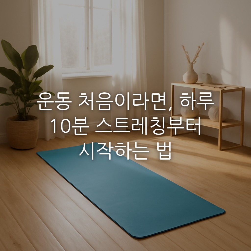 운동 처음이라면, 하루 10분 스트레칭부터 시작하는 법
