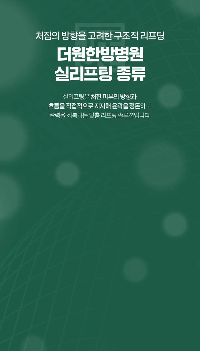 실리프팅 배경