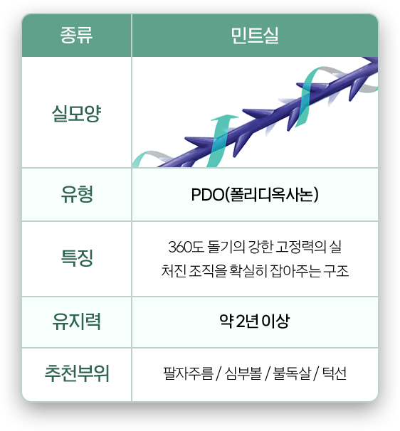 민트실