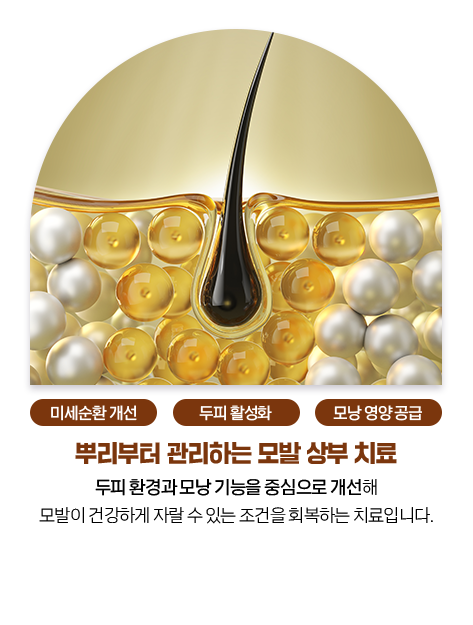 뿌리부터 관리하는 모발 상부 치료